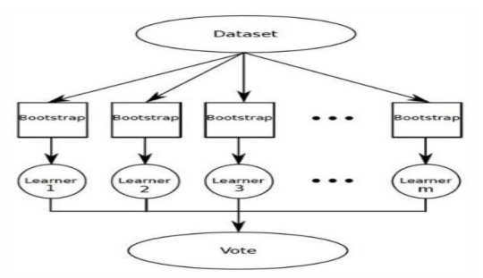 image-20200319151205260