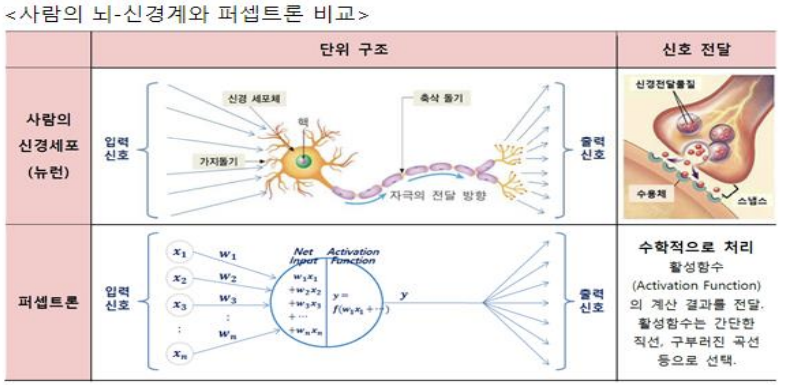 image-20200325113523818