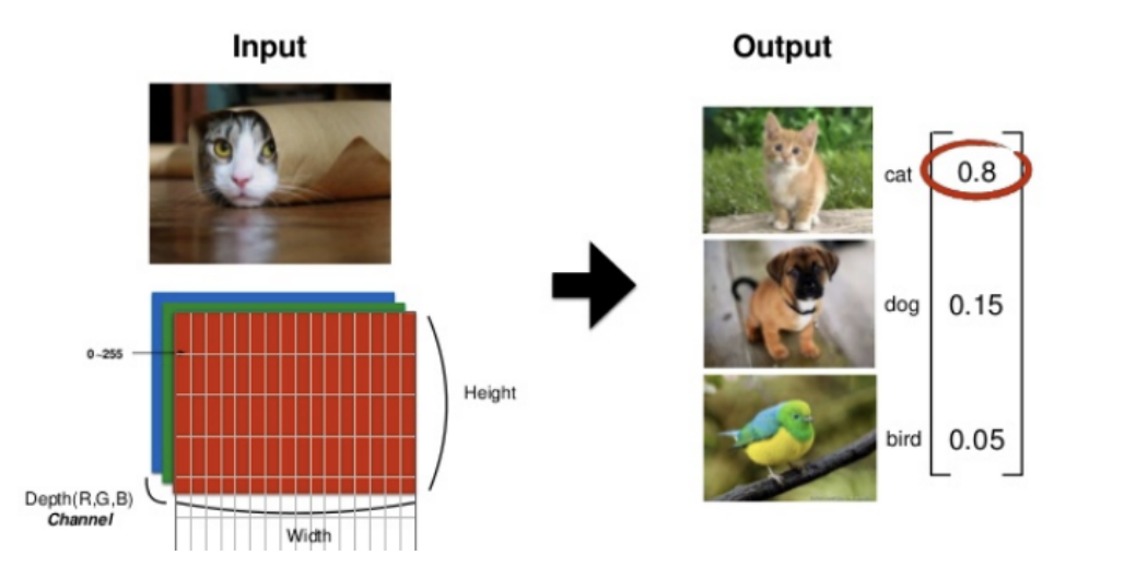 image-20200407172813324